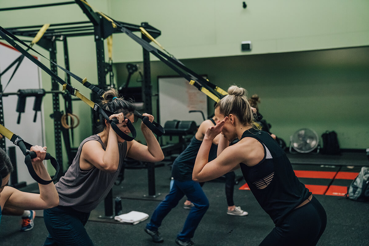 TRX straps set up for a suspension training class