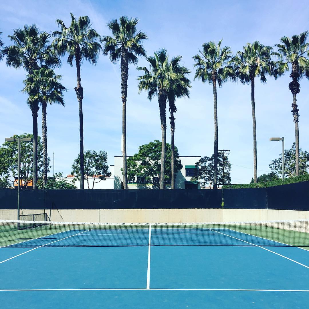The TRIFIT LA tennis court framed by palm trees